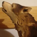 Vyjící vlk, detail hlavy